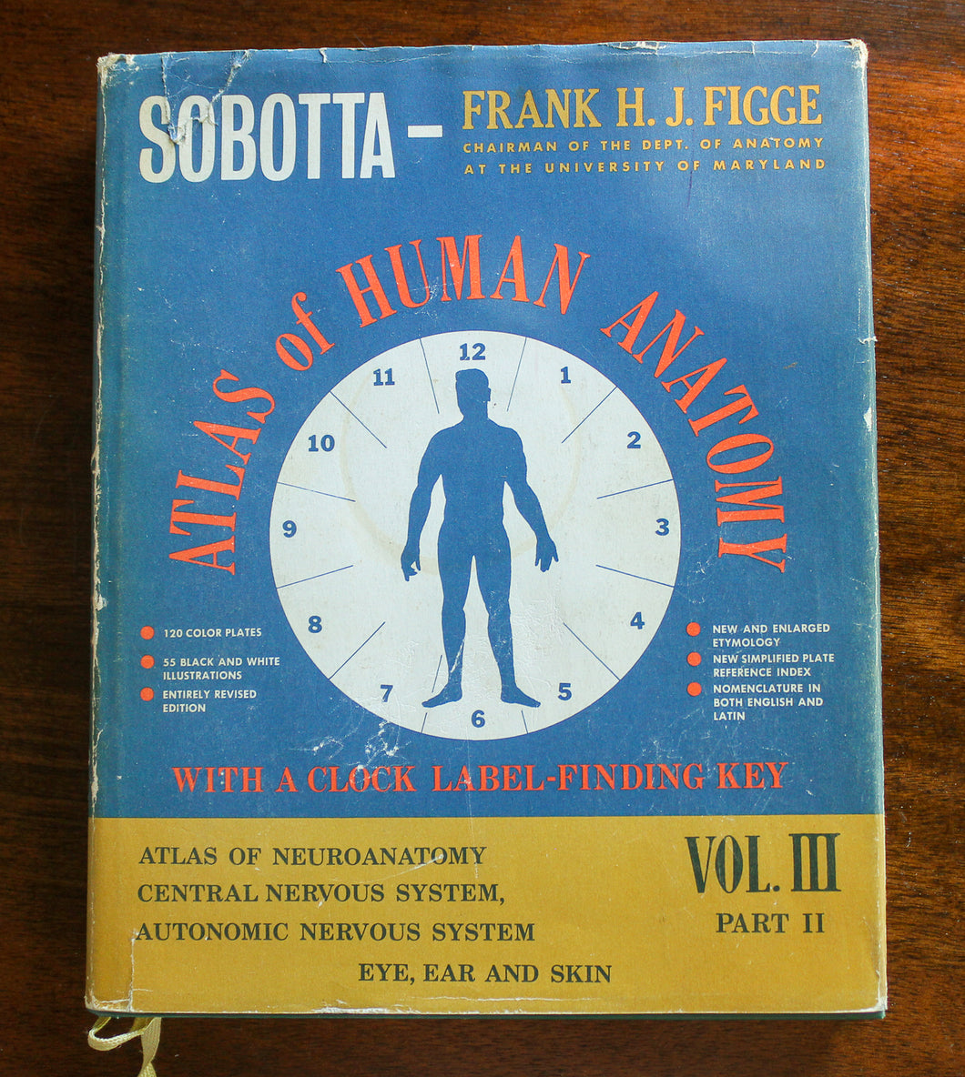 The Atlas of Human Vintage Anatomy Medical Book Vol. III 3 Part II 2 Sobotta