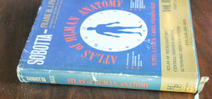 The Atlas of Human Vintage Anatomy Medical Book Vol. III 3 Part II 2 Sobotta