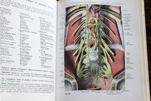 Load image into Gallery viewer, The Atlas of Human Vintage Anatomy Medical Book Vol. III 3 Part II 2 Sobotta
