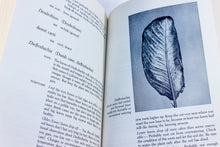 Load image into Gallery viewer, The Healthy House Plant Houseplant by Jean F. Blashfield First 1st Edition Book
