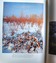 Load image into Gallery viewer, Mark Lisk Idaho Impressions State Photography Pictures Photos Coffee Table Book

