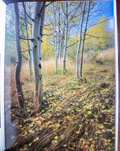 Load image into Gallery viewer, Mark Lisk Idaho Impressions State Photography Pictures Photos Coffee Table Book
