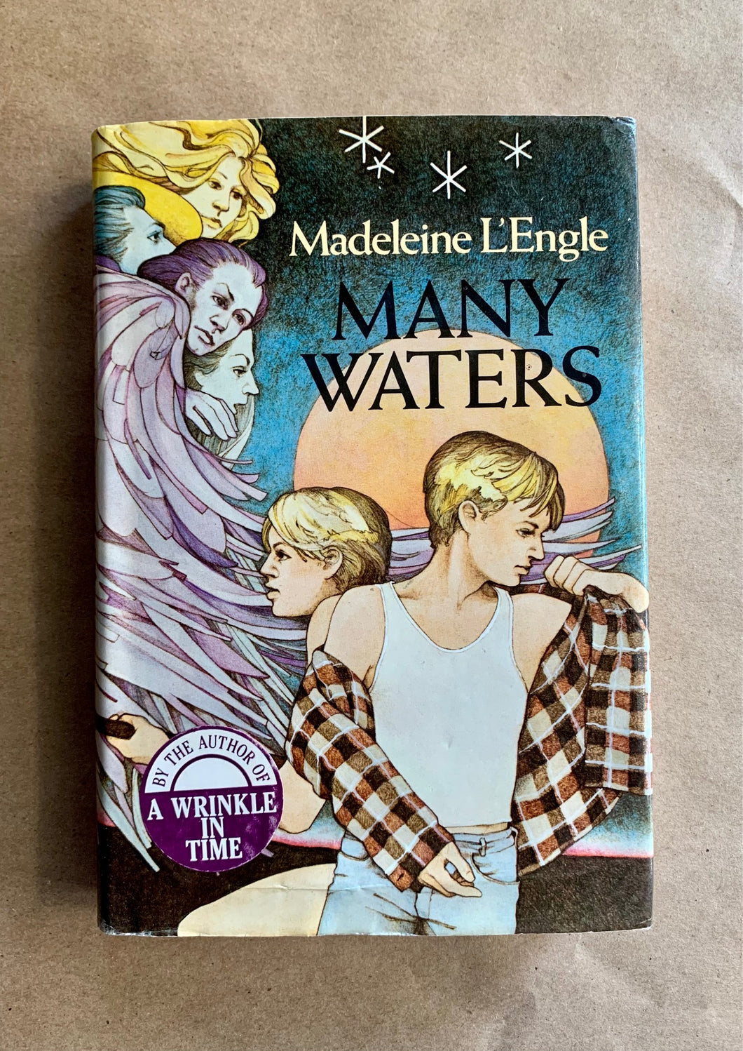 Many Waters by Madeleine L'Engle 1st Edition Vintage Hardcover Book 1986