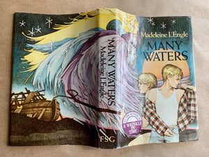 Many Waters by Madeleine L'Engle 1st Edition Vintage Hardcover Book 1986