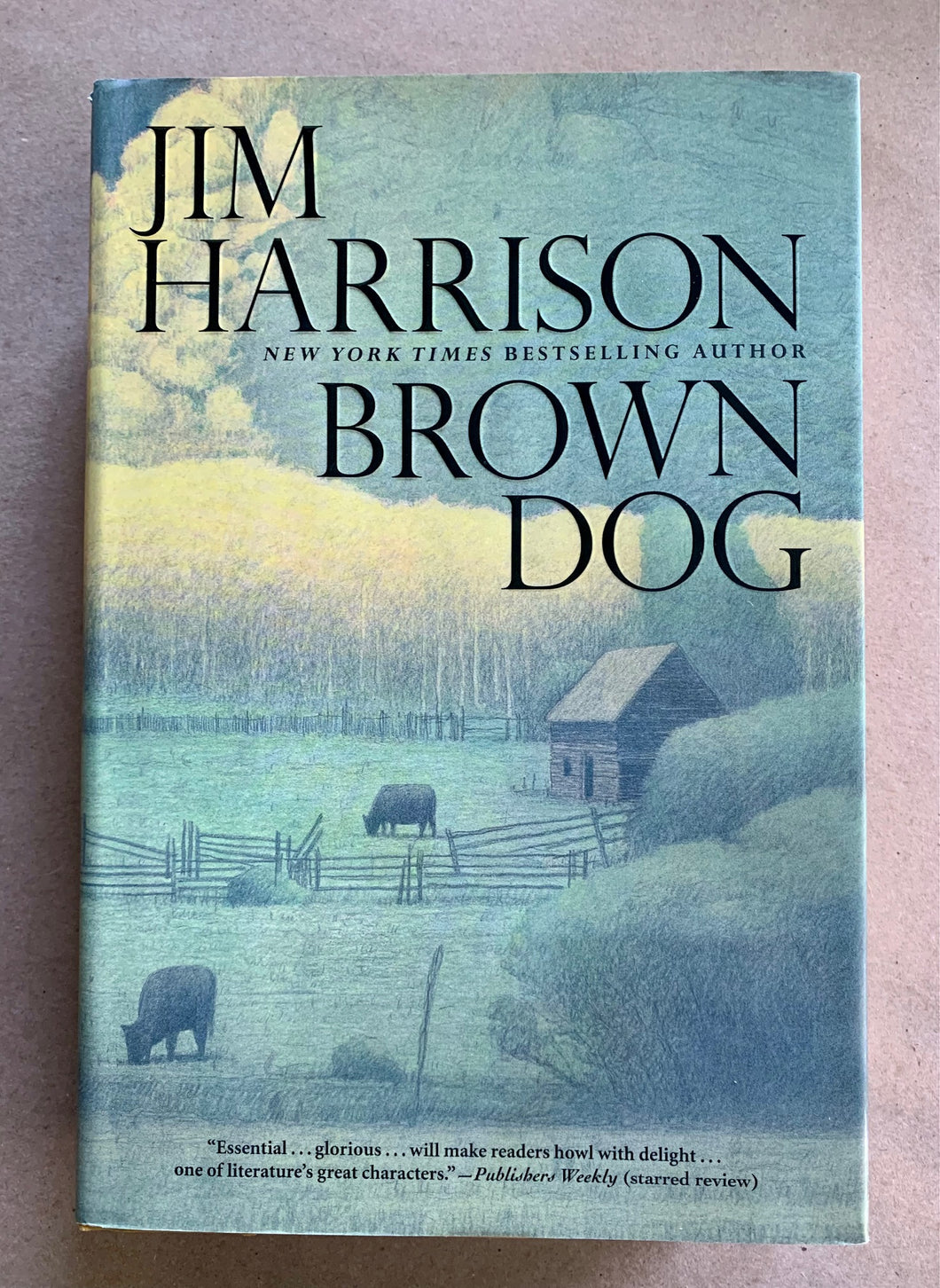 Brown Dog: Novellas Collection by Jim Harrison 1st First Edition Hardcover Book