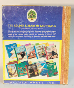 Mathematics The Golden Library of Knowledge Vintage Childrens Book Math 1958 HC