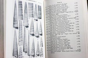 PLIOCENE MOLLUSCA of SOUTHERN FLORIDA Shell Mollusk Guide Book Encyclopedia