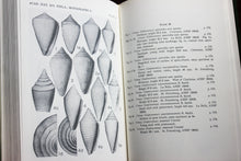 Load image into Gallery viewer, PLIOCENE MOLLUSCA of SOUTHERN FLORIDA Shell Mollusk Guide Book Encyclopedia
