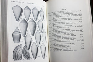 PLIOCENE MOLLUSCA of SOUTHERN FLORIDA Shell Mollusk Guide Book Encyclopedia