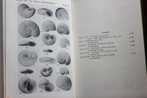 PLIOCENE MOLLUSCA of SOUTHERN FLORIDA Shell Mollusk Guide Book Encyclopedia