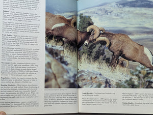 North American Game Animals Complete Hunter The Hunting and Fishing Library Book