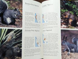 North American Game Animals Complete Hunter The Hunting and Fishing Library Book