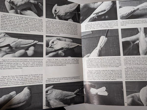 Songbird Bird Wood Hand Carving Carved Guide Book Art Vintage by Rosalyn Daisey