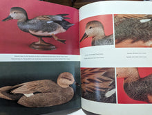 Load image into Gallery viewer, Ward World Championship Bird Wildfowl Wood Hand Carving Guide Book Art Vintage
