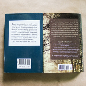 Rimwalkers Rim Walkers by Vicki Grove SIGNED Book 1st Edition Everything Breaks
