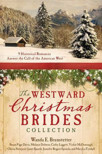 9 Christian Historical Romances Book Collection Novels Wanda E. Brunstetter