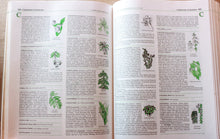 Load image into Gallery viewer, Sunset Western Garden Gardening Book Plant Encyclopedia Reference Guide Vintage
